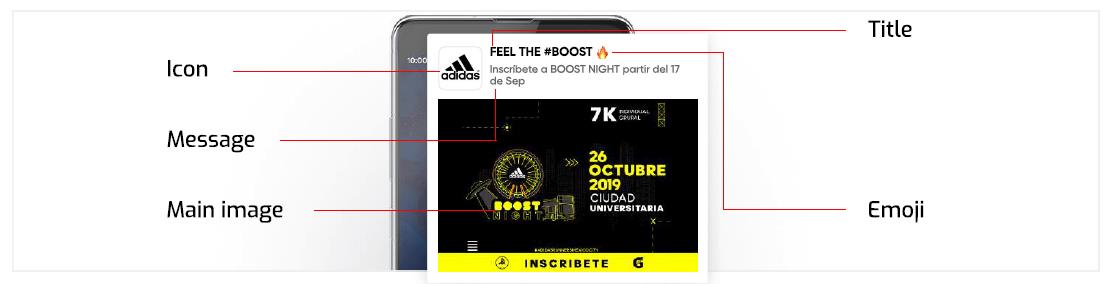 how_does_the_native_push_notifications_looks_like