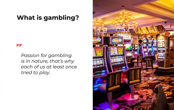 gambling vertical meaning