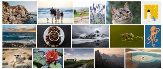 Examples of free photos from the Pixabay photo stock
