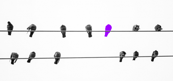 Features Of Native Traffic