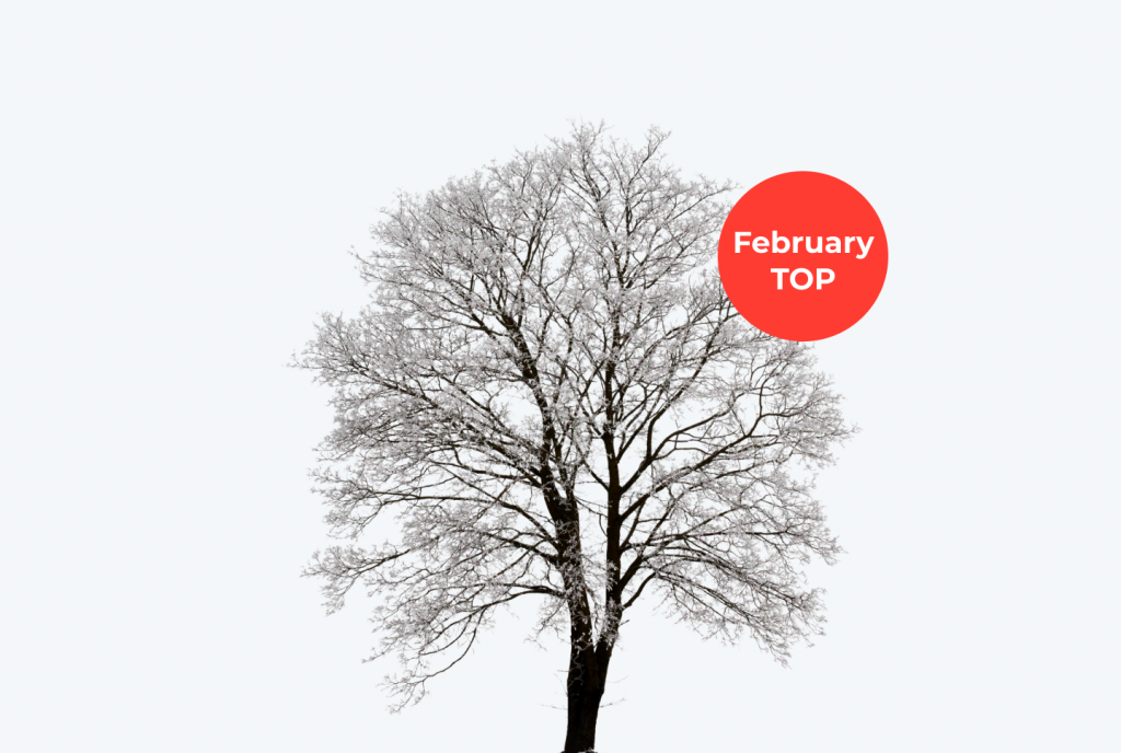 GEO and verticals in February