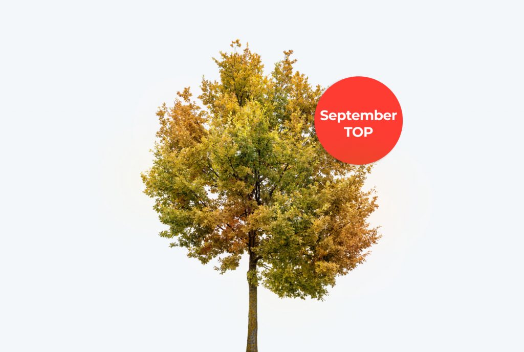 Best GEOs and verticals in September