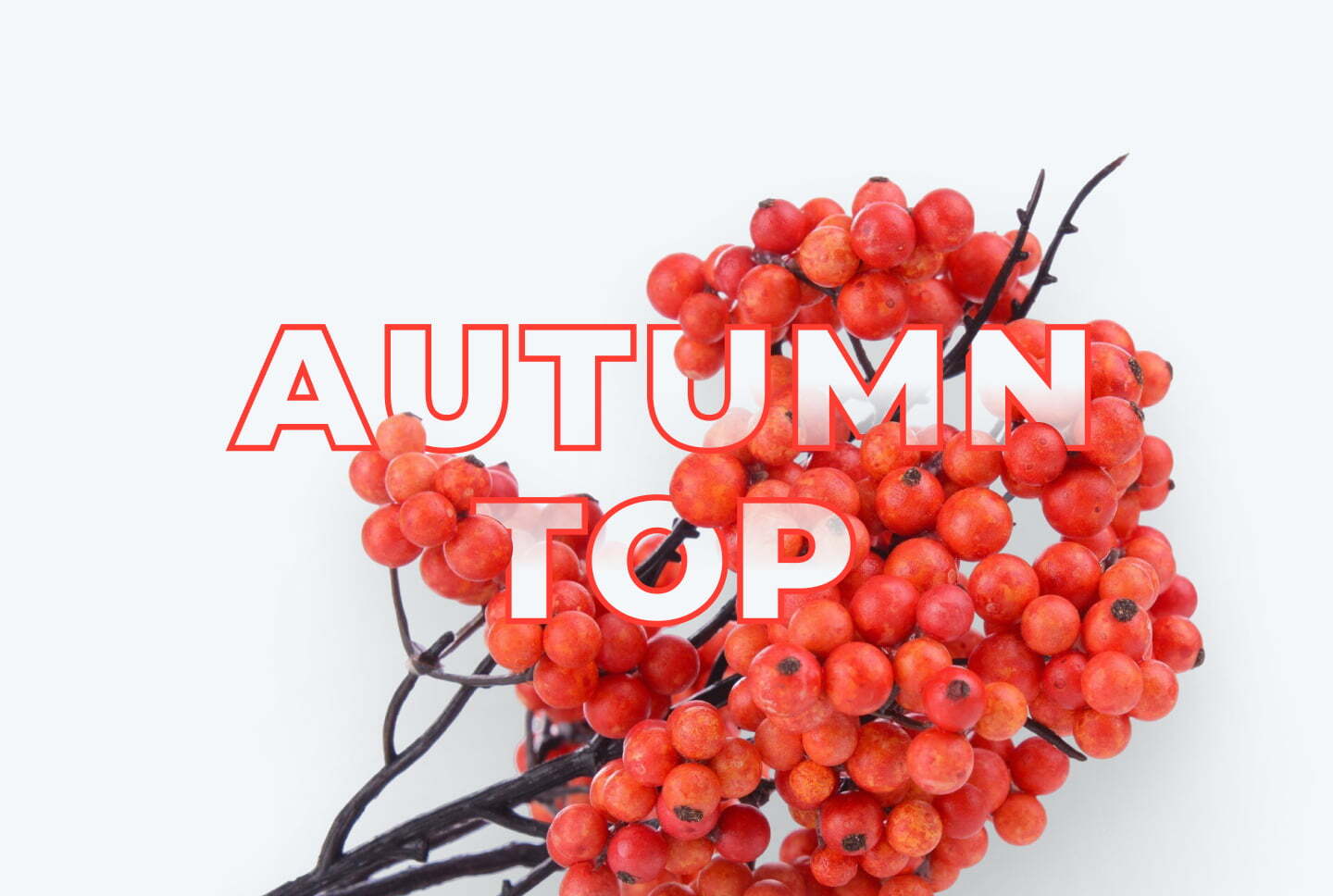 Best geos and verticals for affiliate marketing in Autumn 2025 by RichAds ad network