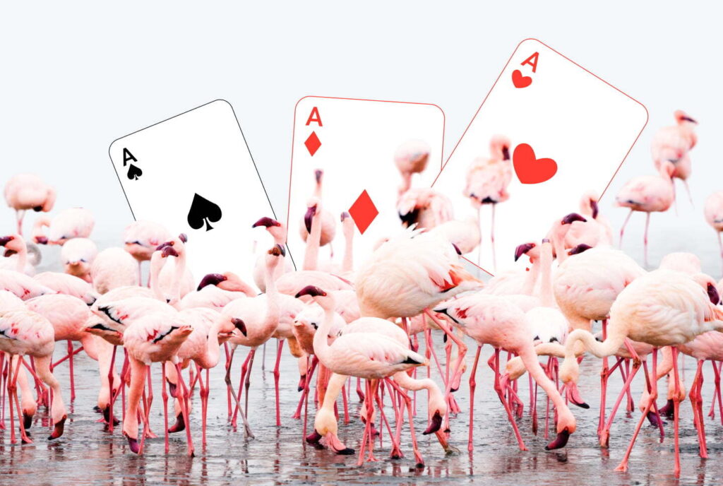 How to Run Gambling Ads in Kenya Tips for 2025